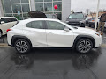 2019 Lexus UX UX 250h