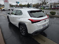 2019 Lexus UX UX 250h